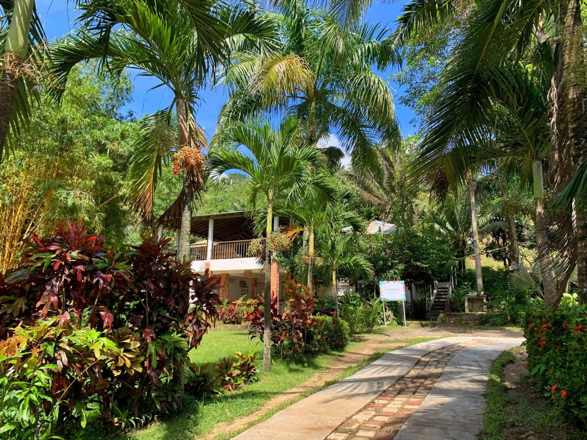 Hotel La Casablanca Tayrona Calabazo  Ngoại thất bức ảnh